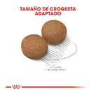 Royal Canin Maxi Adult ração para cães, , large image number null